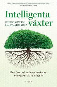 vaxtintelligens.jpg